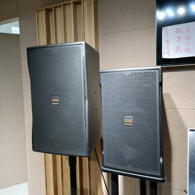 14. Sleek Domc K210 Speaker with 10-Inch Driver for Studio Monitoring