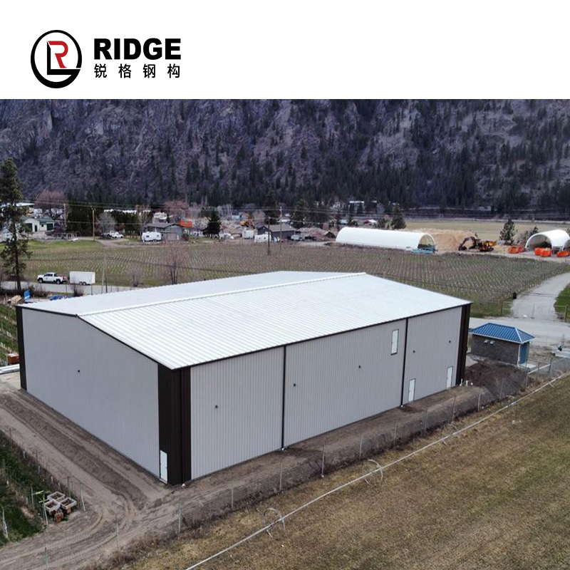 Anti-Rust Painting China Low Cost Waterproof Factory Workshop Steel Building Structure