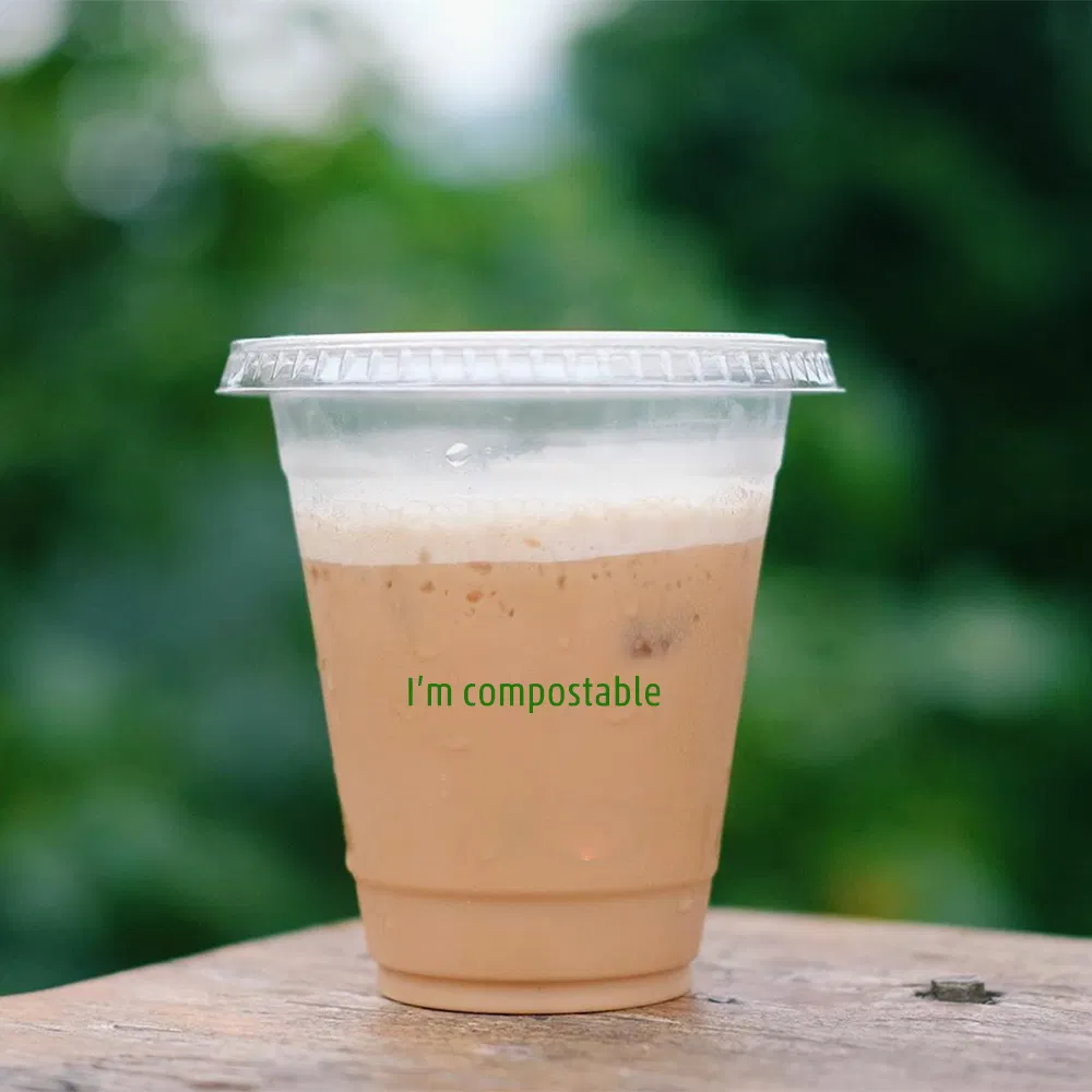 12oz 16oz 20oz 24oz Compostable Clear Cups Disposable Iced Coffee Cups with Lids Biodegradable Cold Drinking Tools