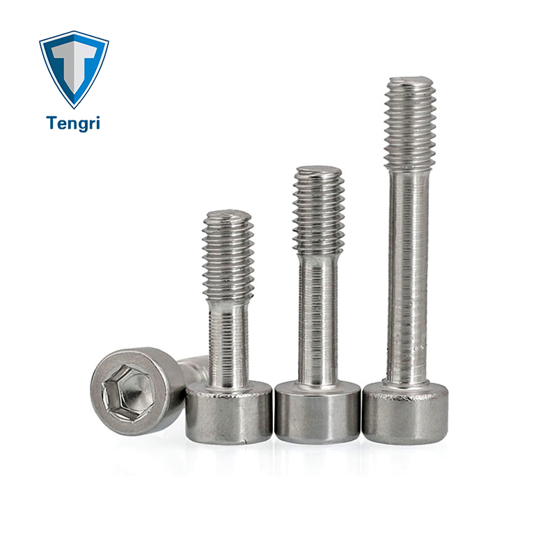 Auto Parts Stainless Steel 304 316 DIN912 Hex Socket Chess Head Captive Screw with High Quality