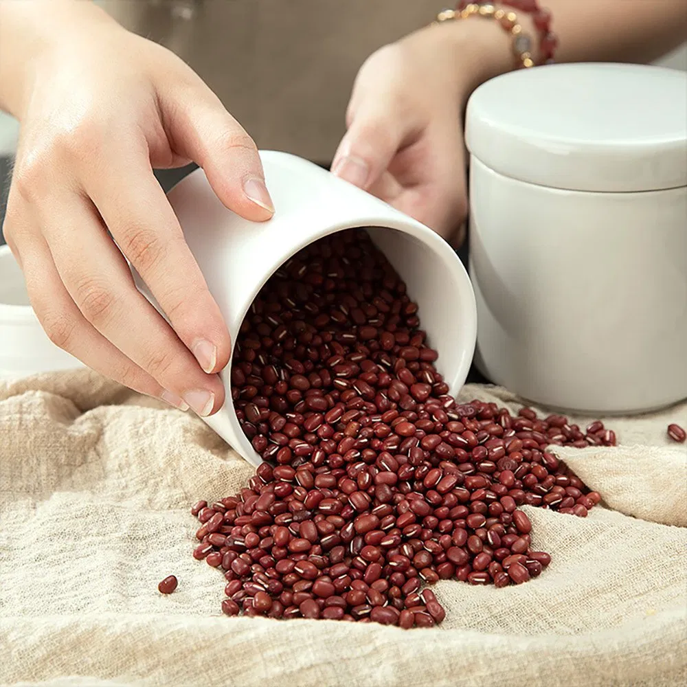 Kitchen Containers Food Storage Jar Coffee Tea Caddy Esg29183