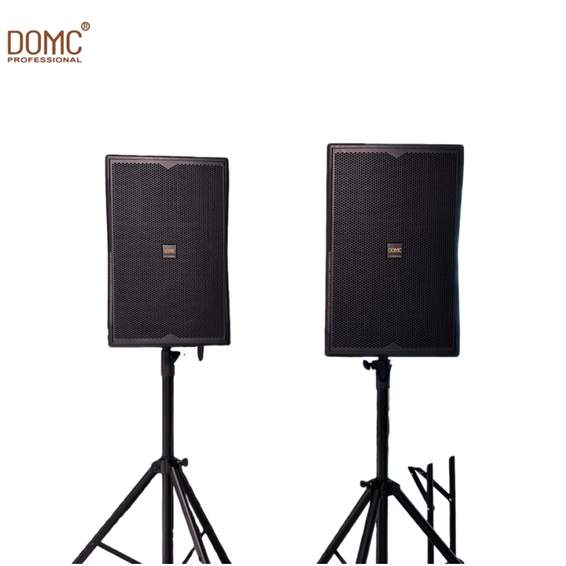 Versatile Domc K210 10-Inch Speaker with 1200W Peak Capability