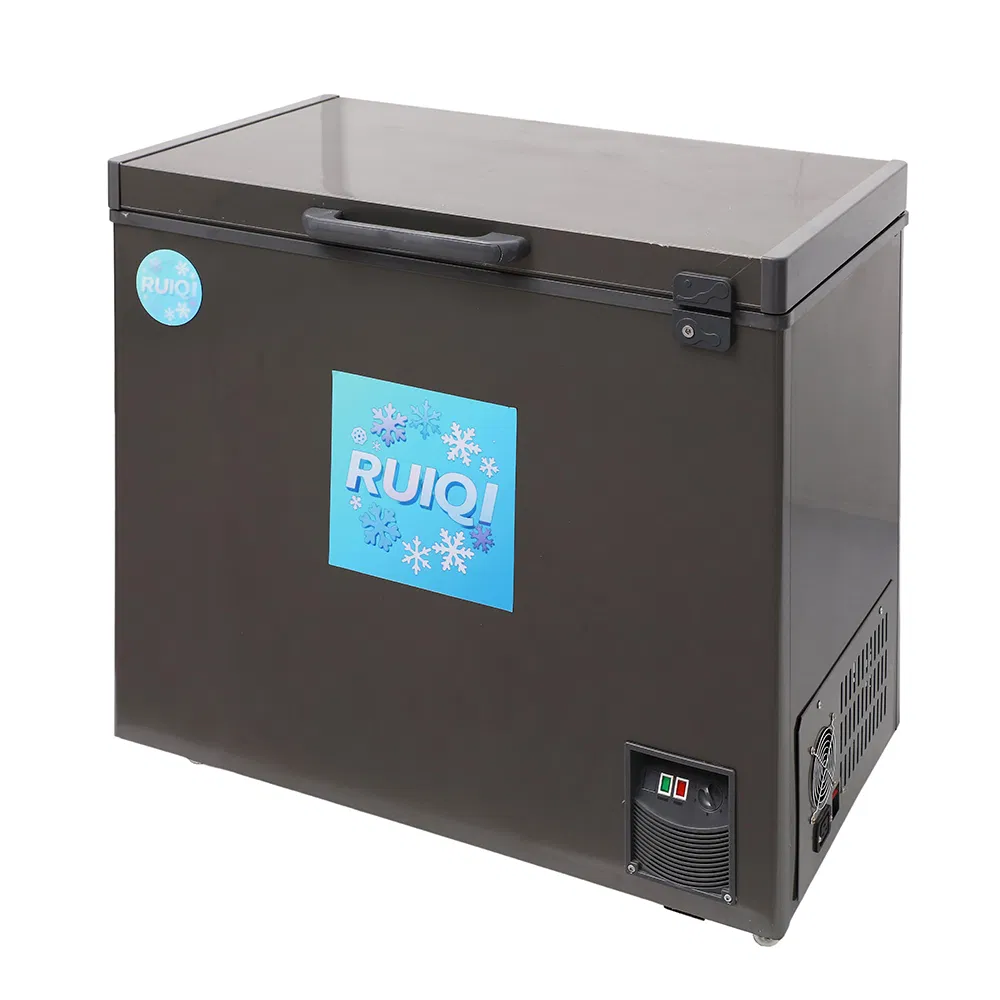 Promotion Great Quality Swing Door Freezer with CE for Frozen Food Storage Refrigeration Products