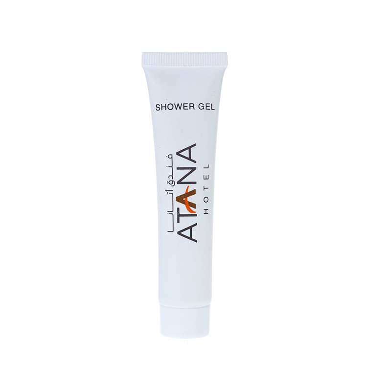 Custom Logo Luxury Hotel Bathroom Amenity Kit 30ml Small Disposable Hotel Size Shampoo and Conditioner Set