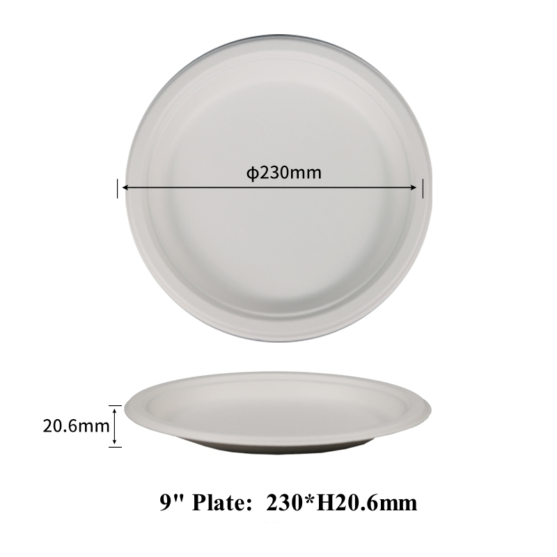 9 Inch White Plate Restaurant Plates Sugarcane Disposable Bagasse Plate