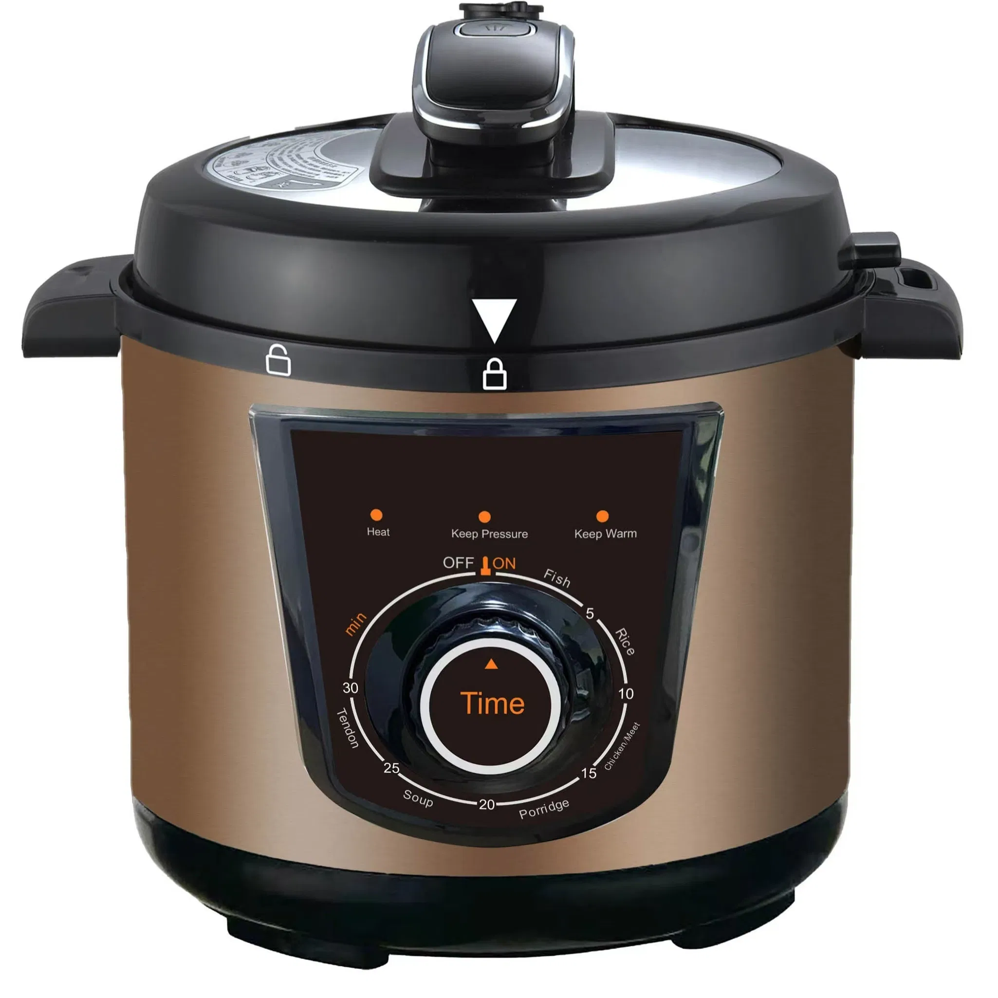 Multi Purpose Electric Pressure Cooker with Yogurt Making and Slow Cook Options