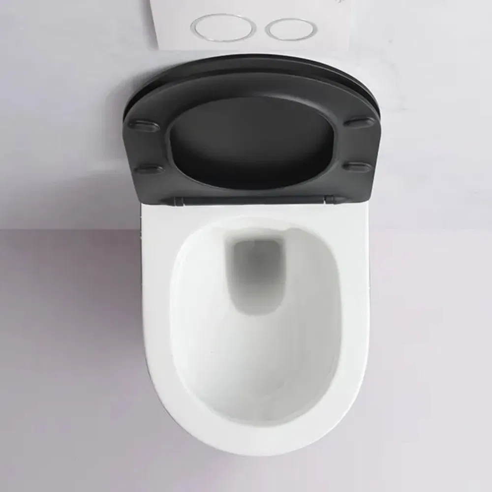 Gravity Flush Bathroom Wall Mount Ceramic Wc Set Concealed Cistern Wall Hung Toilet