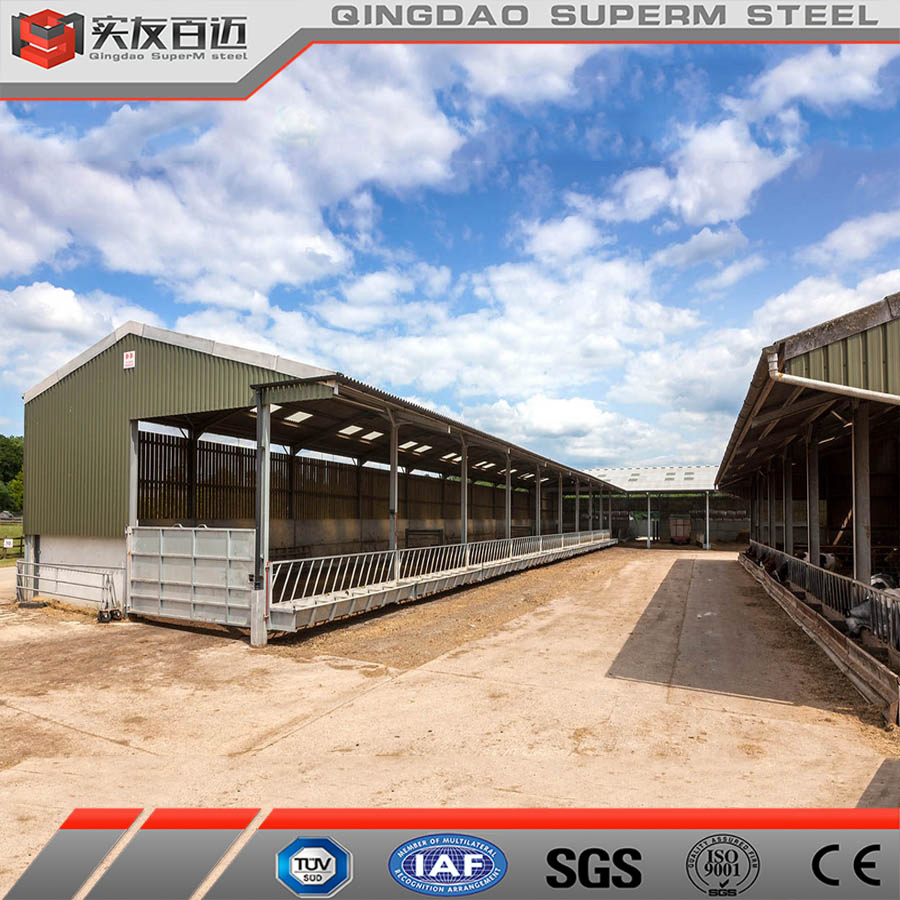 New Design Prefab Steel House Cattle Farm Dairy Barns Steel Structure Shed Building