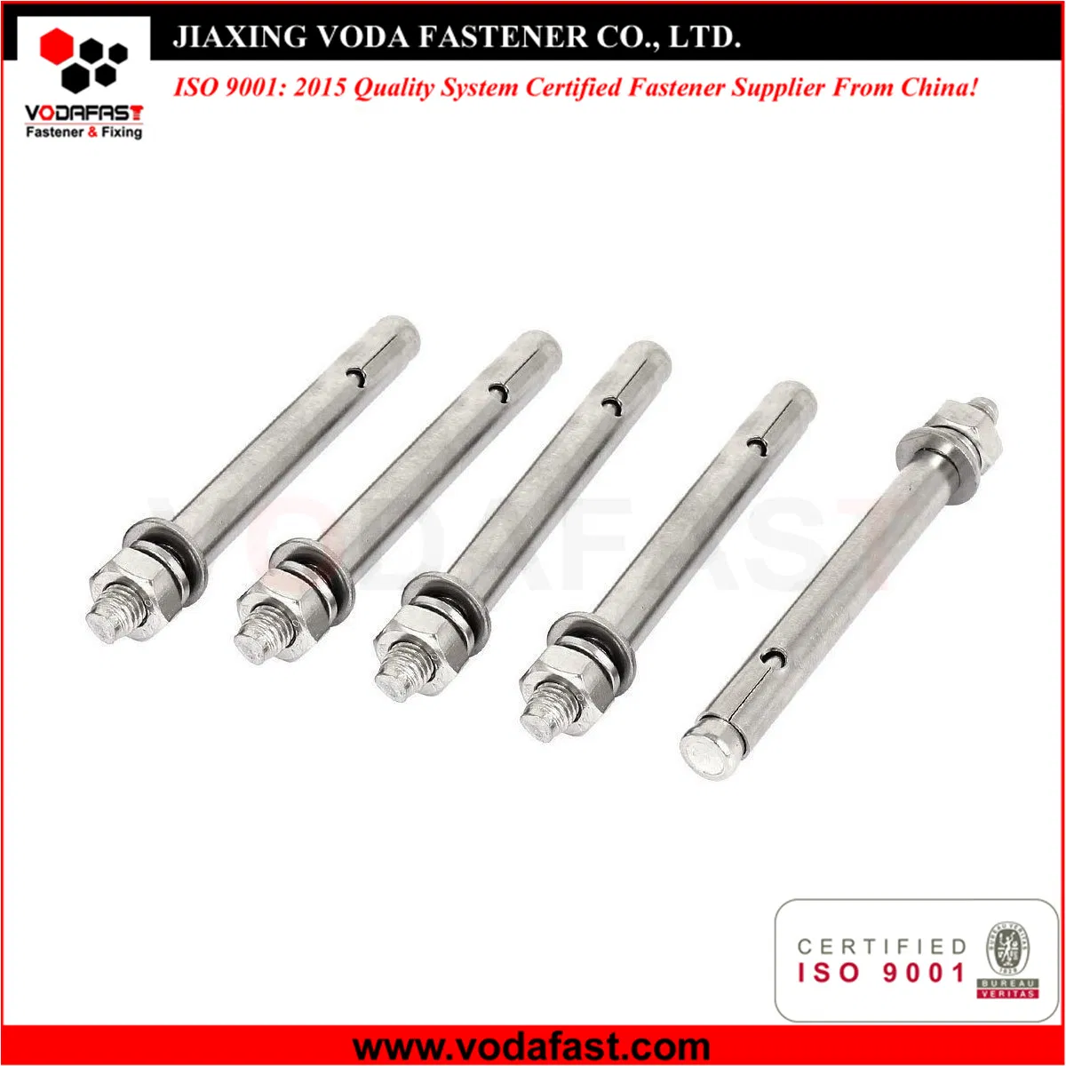 Stainless Steel Expansion Wedge Anchor Bolt Through Bolt