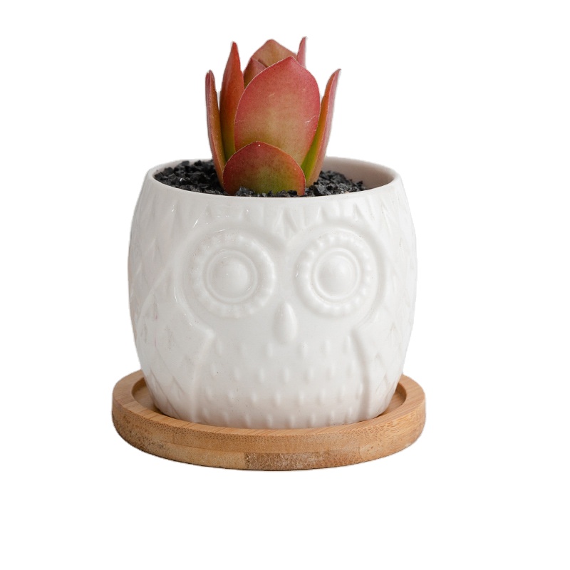 Горшок керамический белый сова с подносом