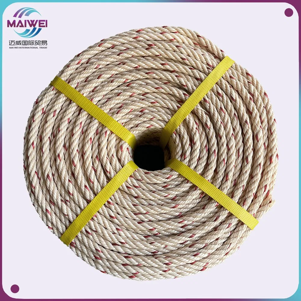 Polyethylene/PE Polypropylene/PP Fishing Marine Mooring Packing Rope Plastic Tali