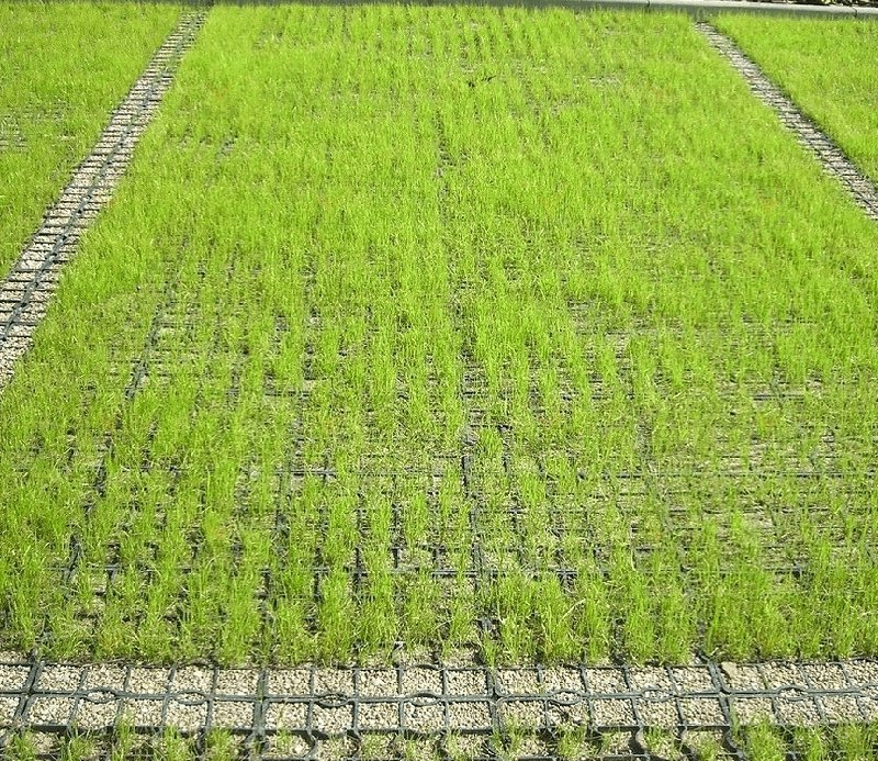 Jnz Manufacturer Supply Heavy Duty Eco Plastic Paving Gravel Grid