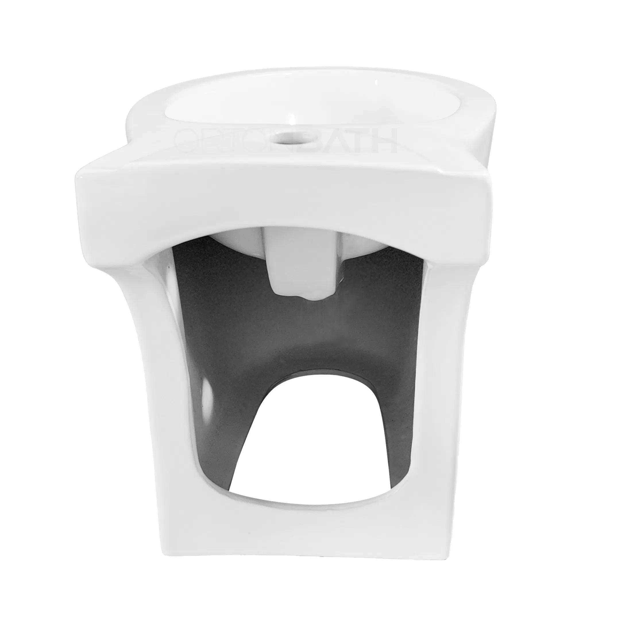 Ortonbath Floor Mounted 3 Tap Holes Toilette Bidet Hospital Elder Lady Care One Piece Ceramic Wc Toilet Bidet Middle East Bidet