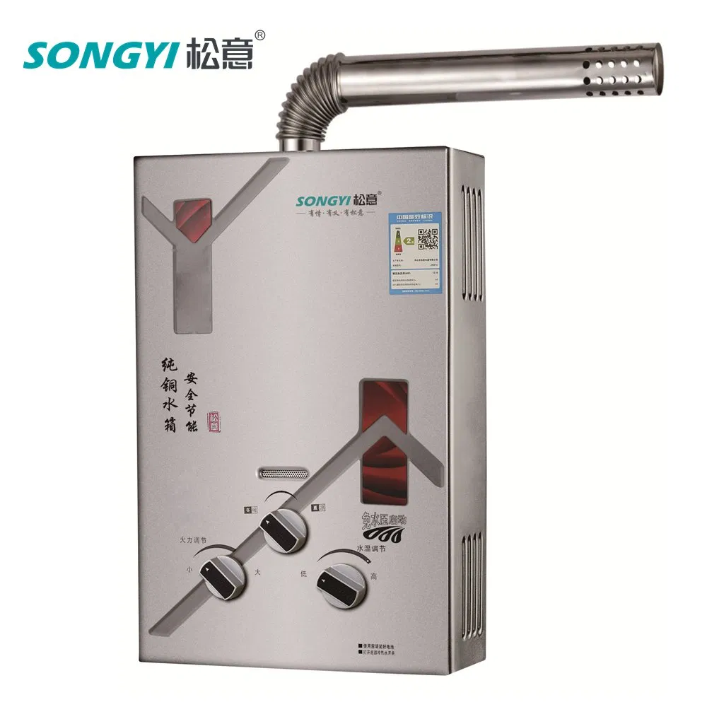 Camping Geyser Intelligent Tankless Gas Water Heater Indoor Heating