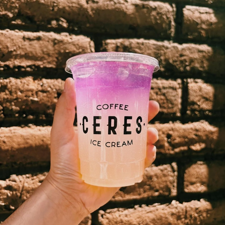 12oz Clear Plastic Disposable Plastic Cups for Iced Coffee with Lids