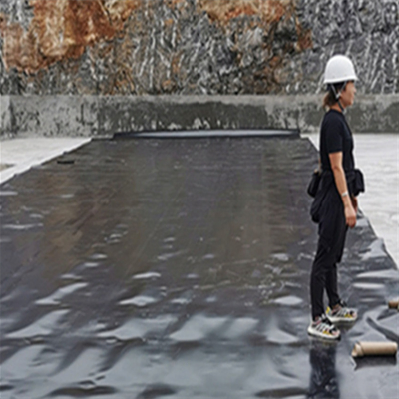 Thickness 1.50mm Anti-Seepage Doublr-Sided Black HDPE Geomembrane Composite Geomembrane LLDPE Geomembrane Water Proof Geomembrane PVC Geomembrane