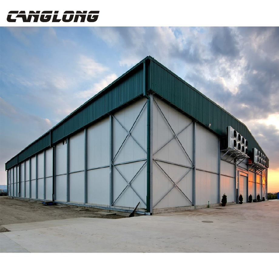 Prefabricated R Building Construction Steel Building Cold Storage Warehouse Cold Room