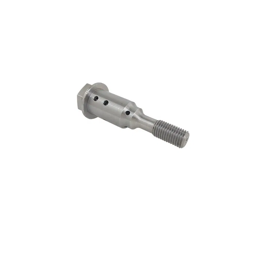 Oil Control Center Screw for Fiat, Jeep