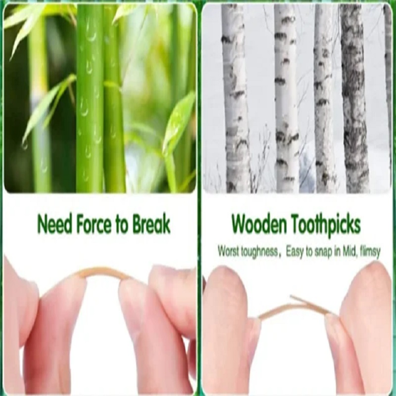 Hollow Plastic Packing Toothpick Flick a Toothpick