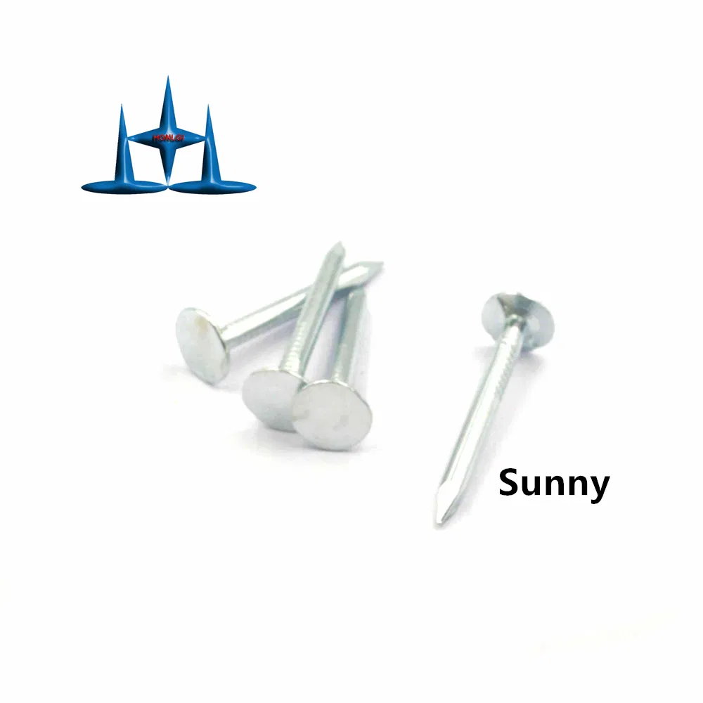 ASTM F 1667 1-1/4" X 11 Gauge Sm Eg Roofing Nails American Market Roofing Nails Canadian Market Roofing Nails Made in China Factory Roofing Nails