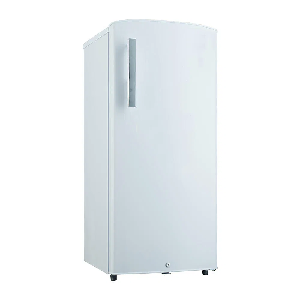 170L OEM Factory Low Noise Small Single Door Mini Fridge for Room