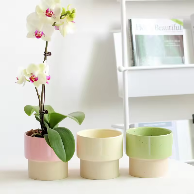 Creative Pink Ceramic Hydroponic Flower Pot for Indoor Succulents