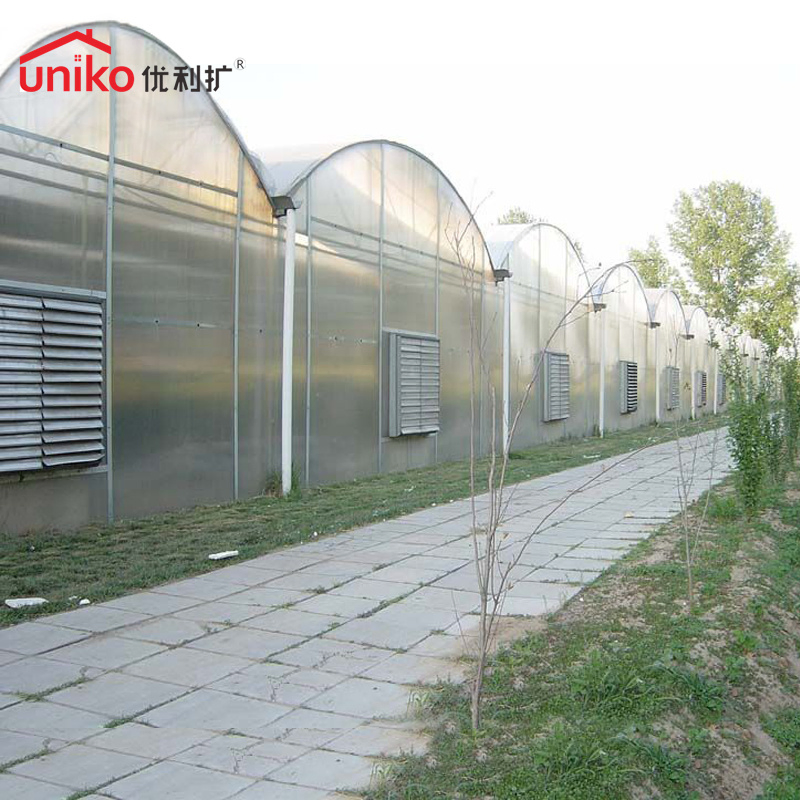 Transparent Polycarbonate Sheet with High Light Transmittance for Greenhouses Panel