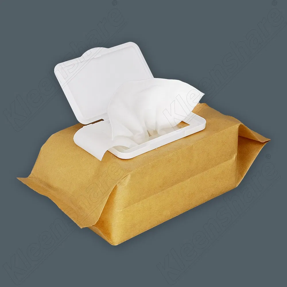 Direct Shipment Water Wet Wipes Disposable Small Packing Spunlace Pure Single Pack 80PCS Babies babies Wet Wipes for Babies