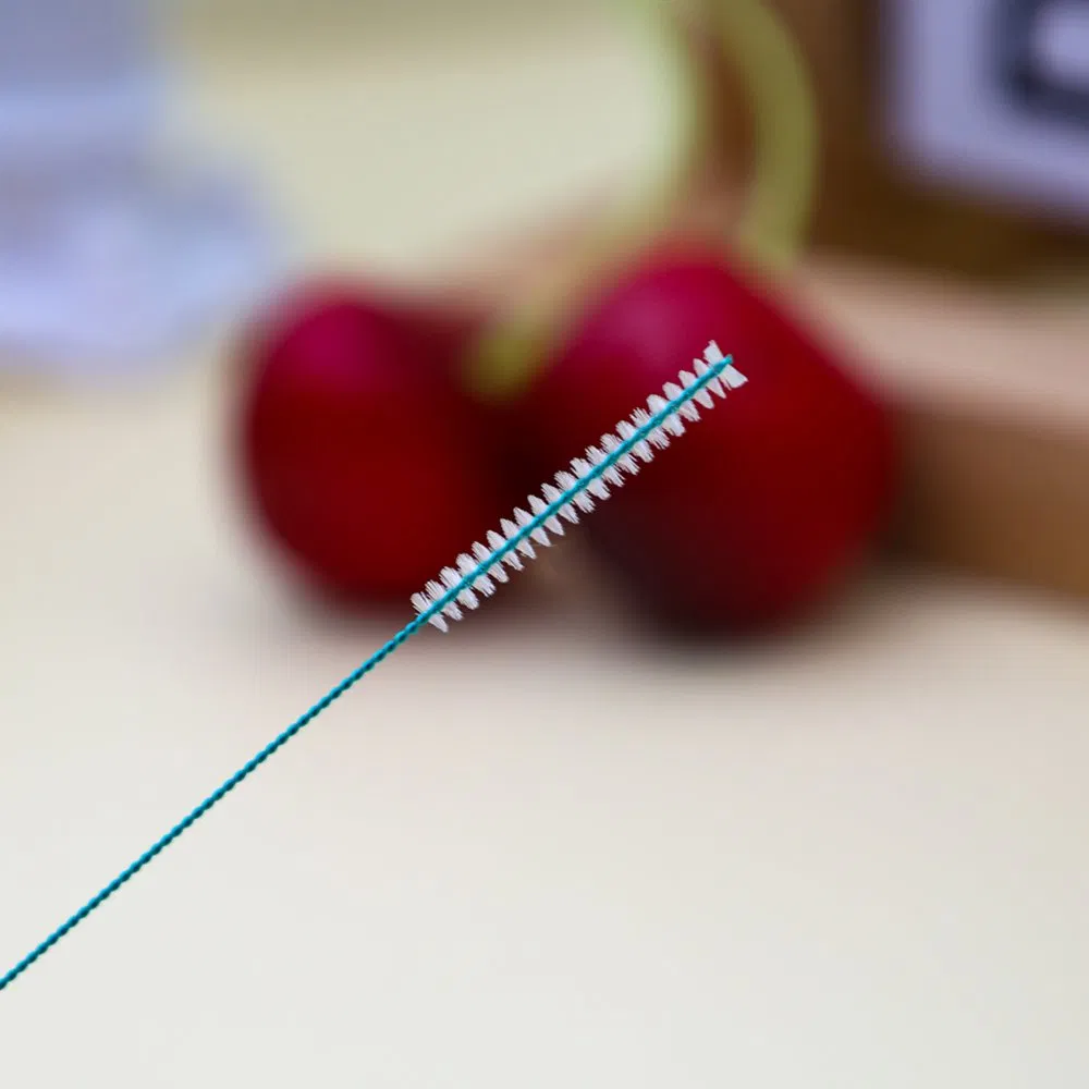 Hot Sale Long Wire Handle Plastic Free Interdental Brush ISO2