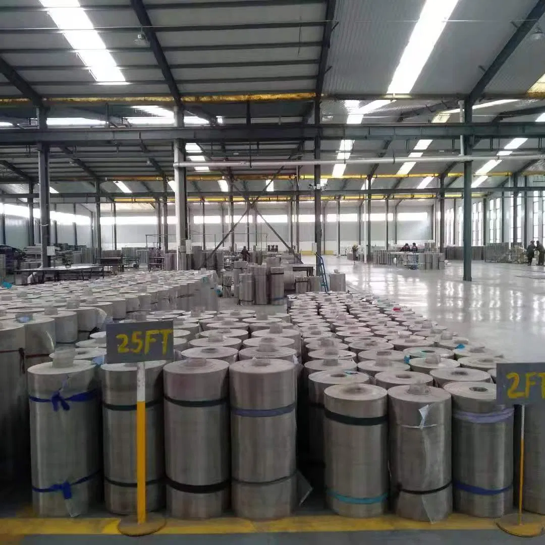 China Factory Easy to Install 14X14 and 18X16 Aluminum Alloy Window Insect Screen, Mosquito Mesh, Flying Netting