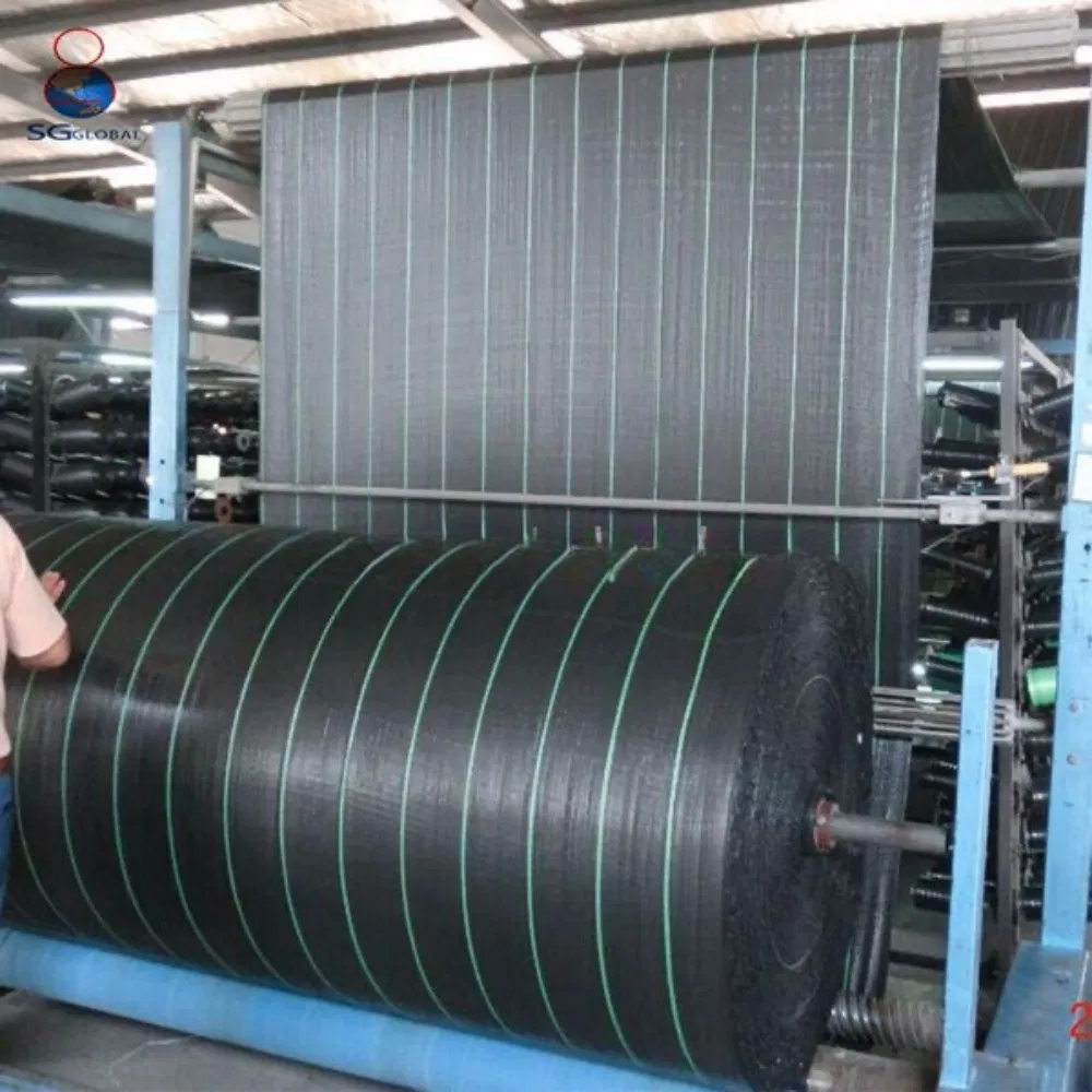 SGS China Supplier UV Treated Agriculture Garden Landscape Weed Barrier PP Woven Geotextile Fabric Anti Aging Weed Mat Weed Control Ground Cover for Blueberry