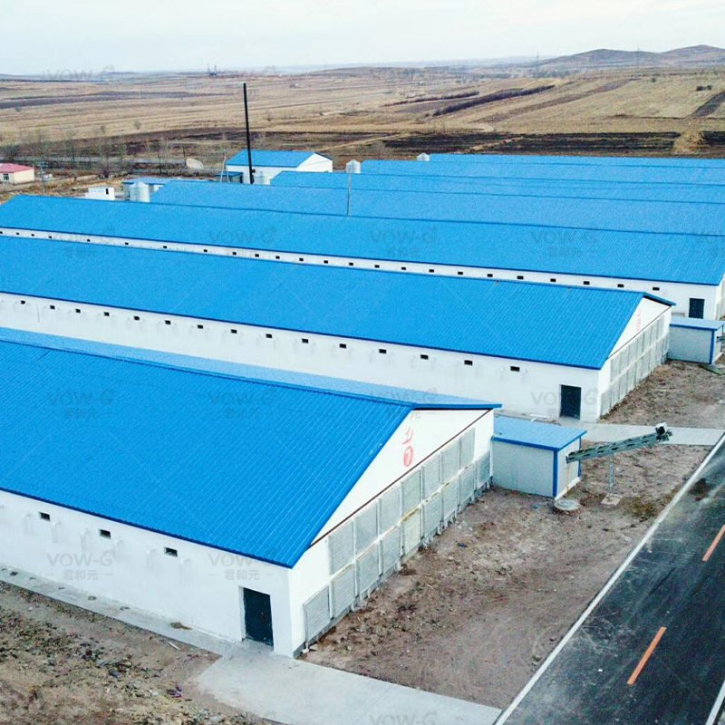 Steel Structural Building Chicken House H Section Steel Beams Breeding Poultry House Structural Steel Workshop