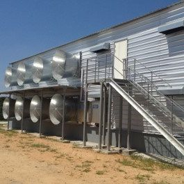 Affordable Automated Poultry House Systems for Easy Setup