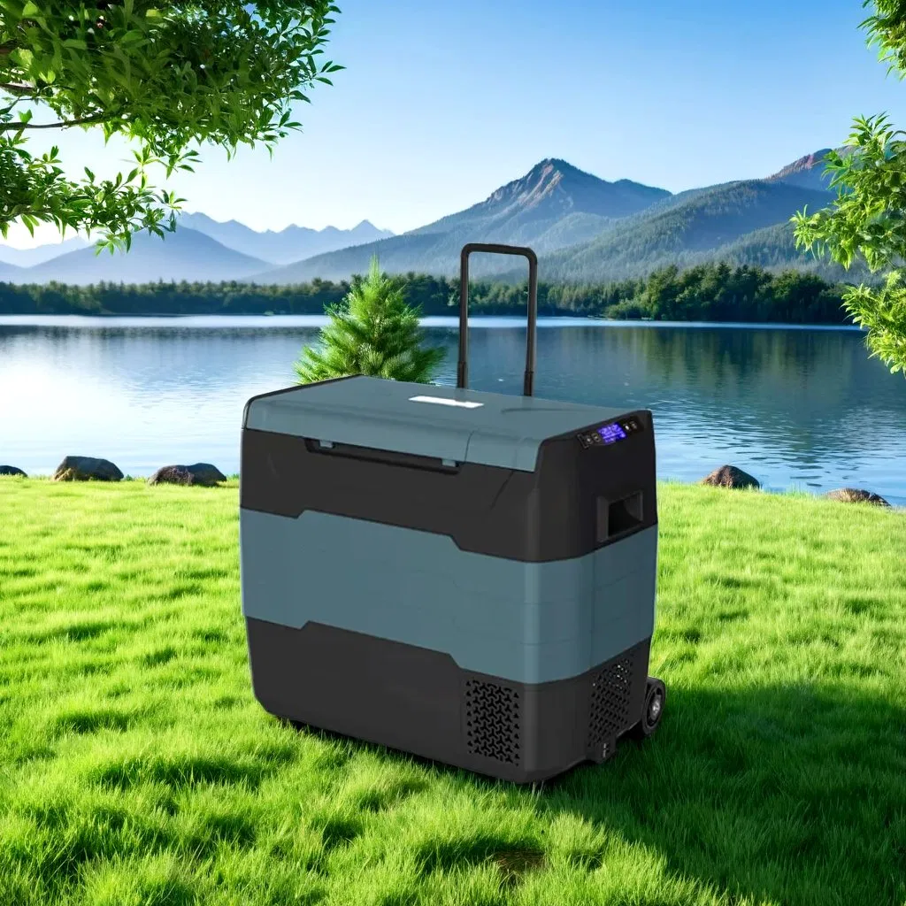 Waycool Teg55 30L Dual Control Mini Car Fridge Refrigerator AC12~24V Low Power Compressor for Outdoor Camping Cars with Wheels