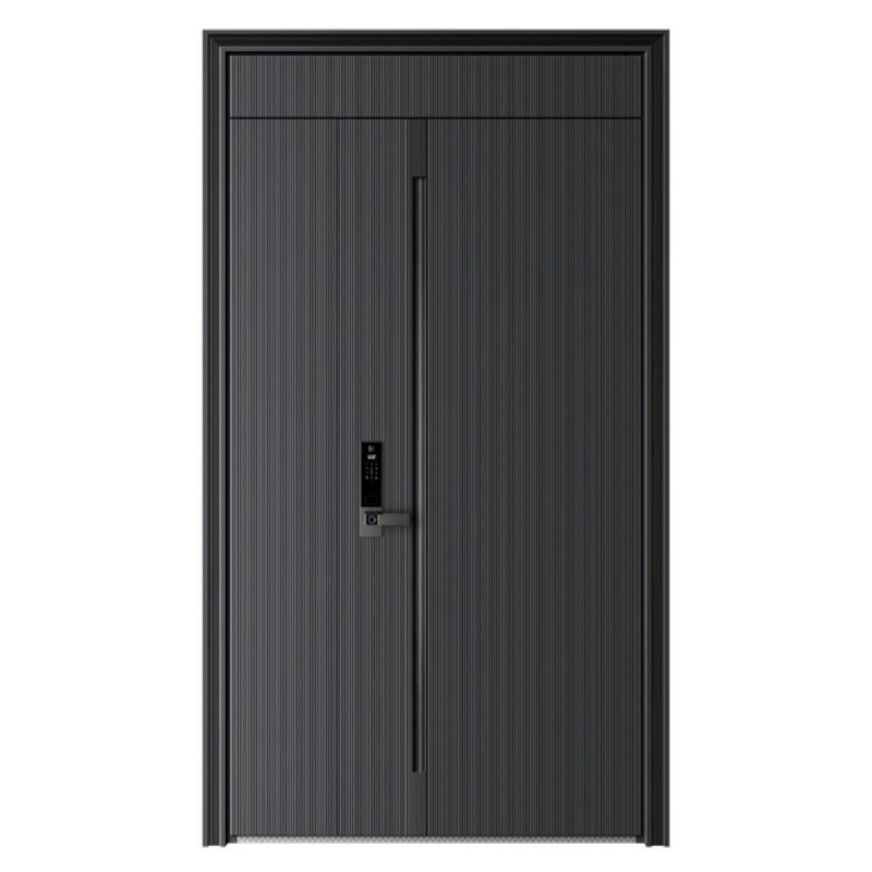 Современная входная дверь из алюминия, противопожарная