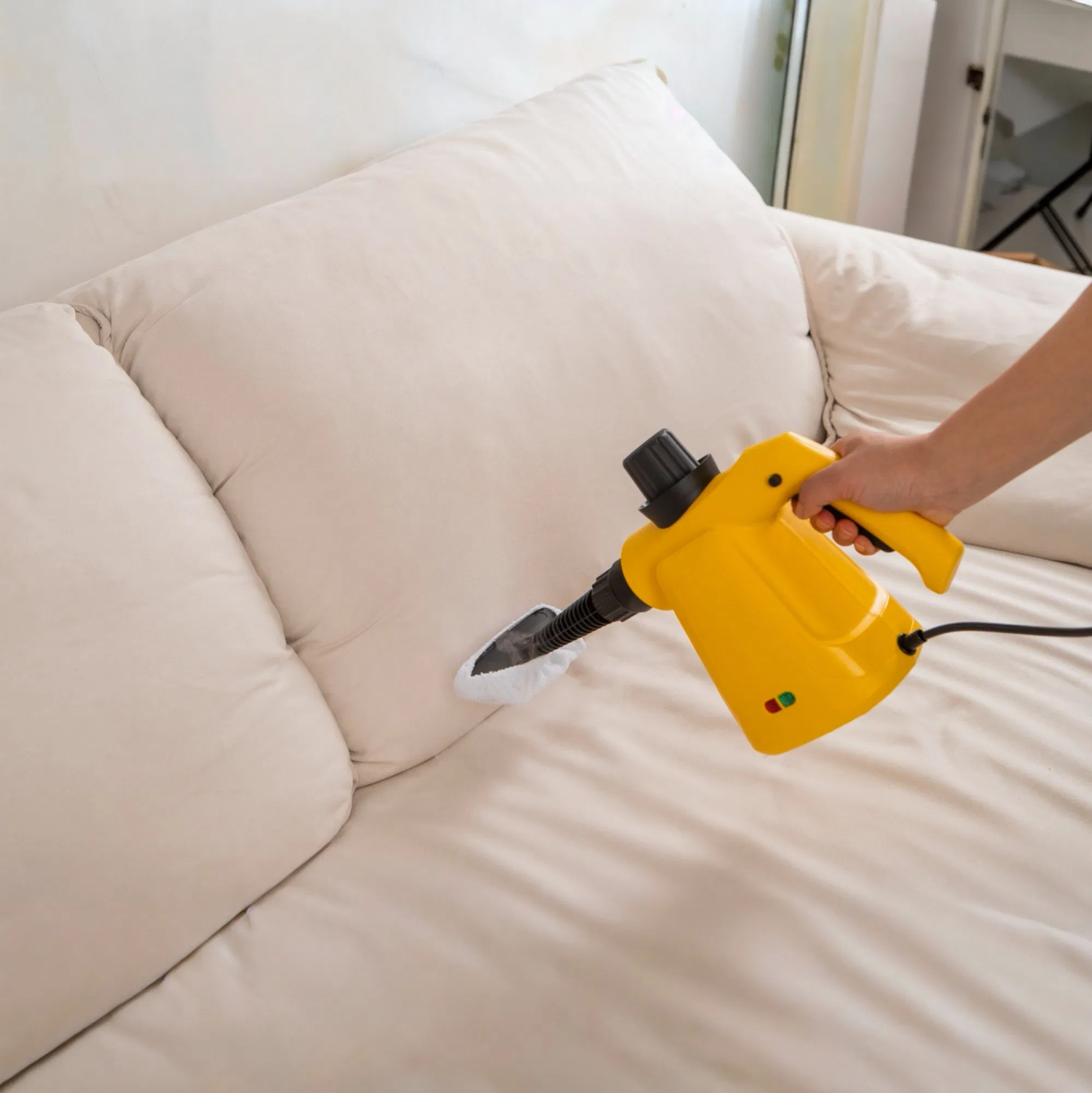 Small Size Multi-Purpose Home Use High Power Steam Cleaner for Car Washing Sofa Cleaning Carpet Cleaning Range Hood Cleaning