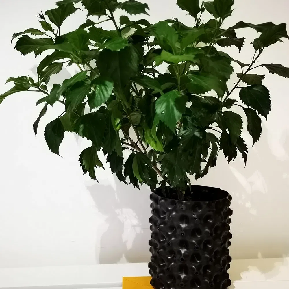 Plant Root Pruner Pot with Air Pruning Feature - Perfect for Bonsai & Ornamental Plants