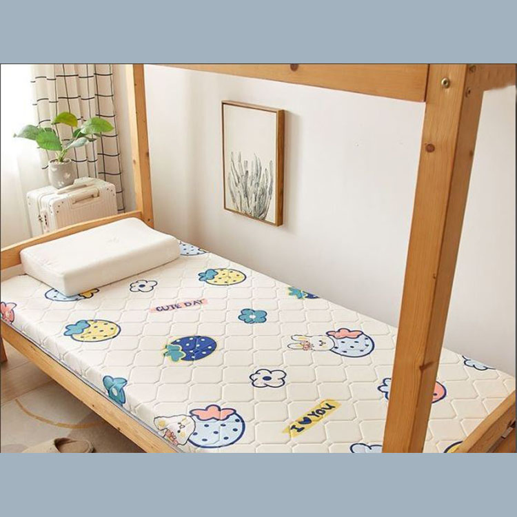 Soft Comfortable Fold Double Sided Cool Seat Single Person Summer Dormitory Mattress