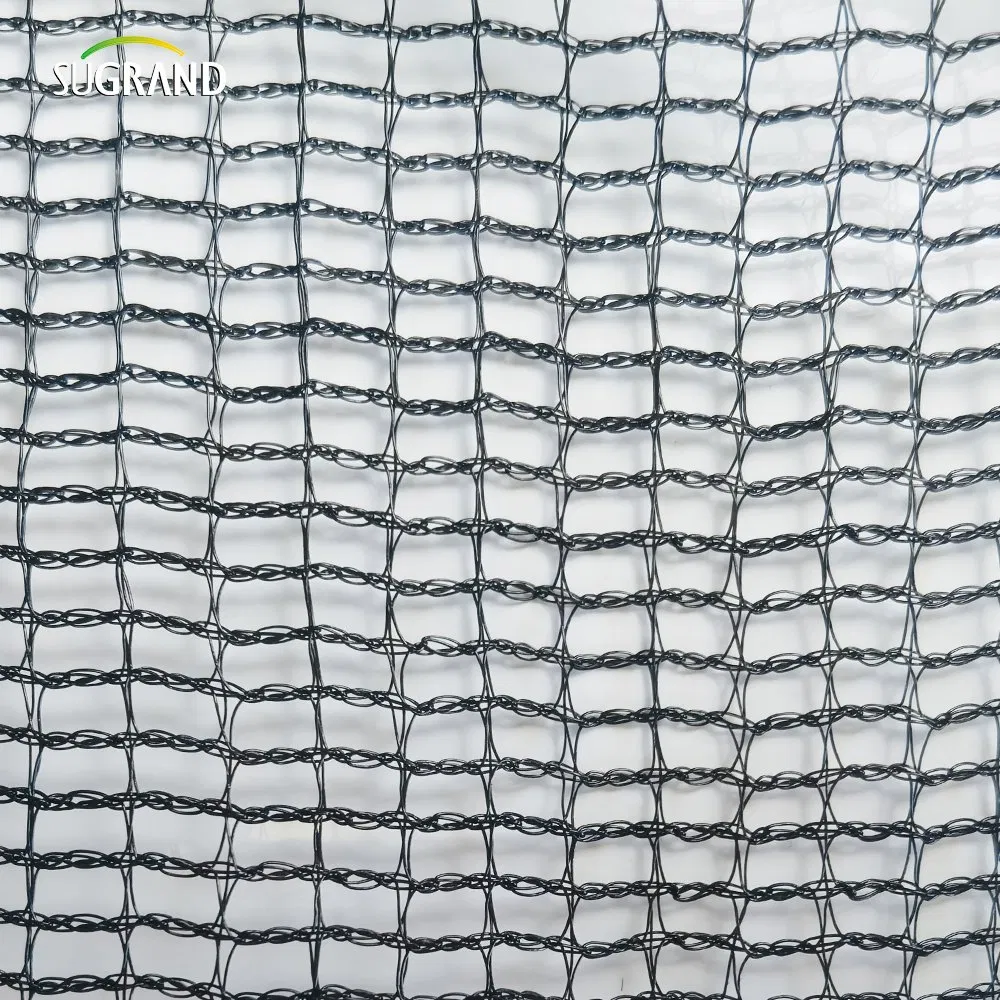 Green Plastic Construction Scaffold Safety Net for Building