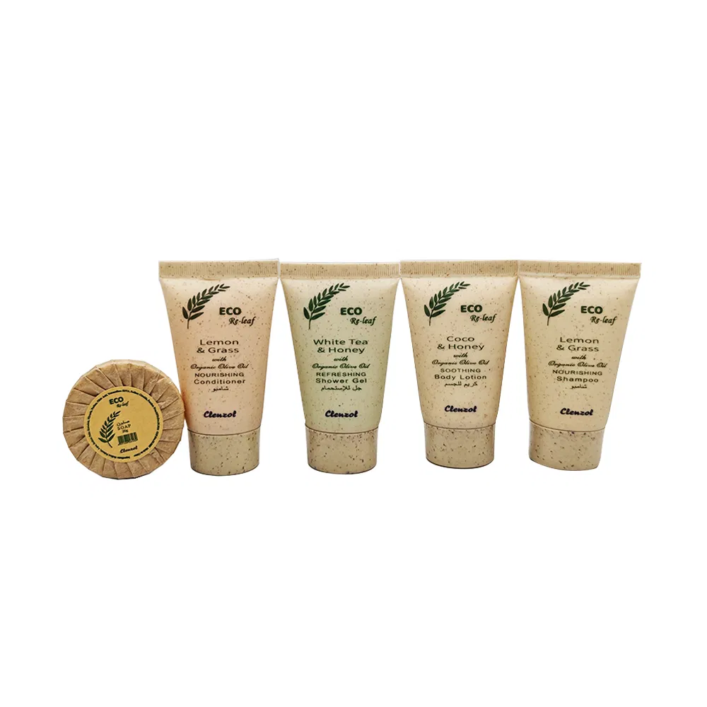 Custom Disposable Tooth Brush Supplies Set Hotel Amenity Toiletries