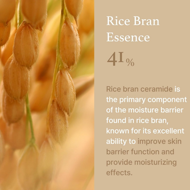 OEM ODM Best Night Cream Whitening Cream Rice Cream 1.69 Ounce 41% Rice Bran Serum with Glowing Improves Moisture Anti Wrinkle Cream