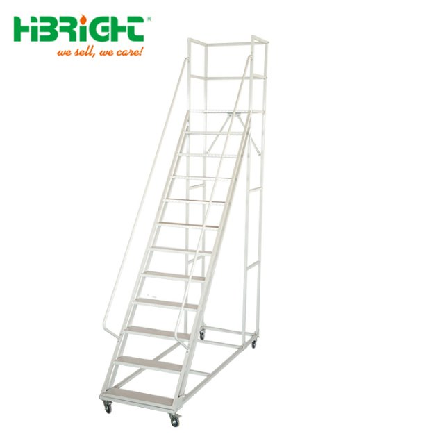 Accept OEM/ODM Multi-Functional Adjustable Steel Ladder Truck
