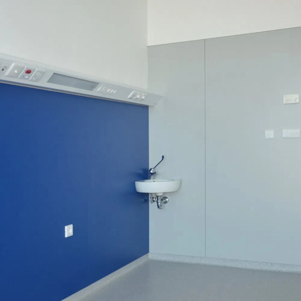 Multiple Surface Options Debo Compact Grade Laminate Interior Wall Sheets Price