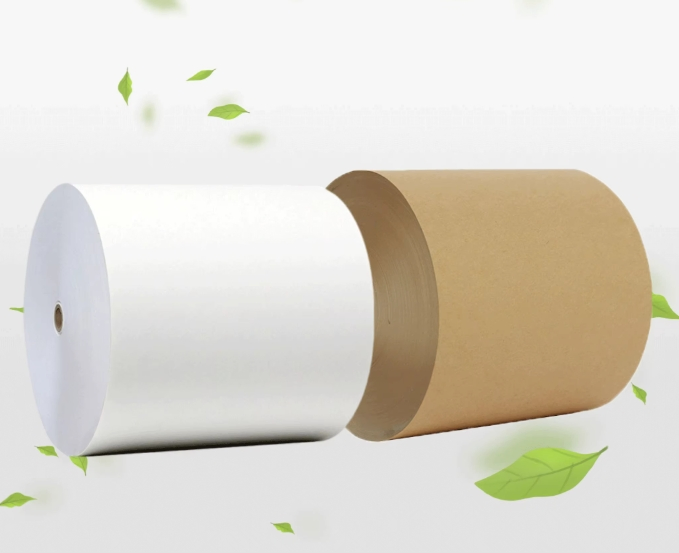 Kraft Brown Paper Cup Fans PE Coating Single-Sided and Double-Sided