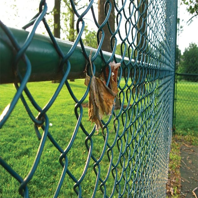 Hot-Selling Chain Link Fence, PVC Coated/ Galvanized Chain-Link Fence, Anti-Rust Chainlink Fence