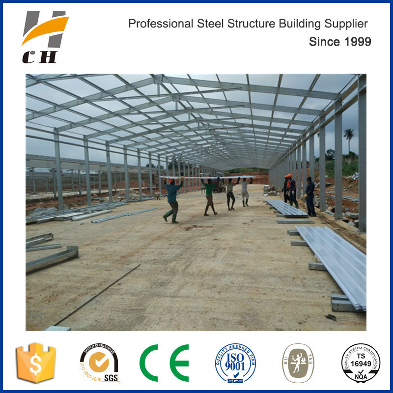 Factory Direct Manufacturing Low Price Roof for Poultry House for Chicken
