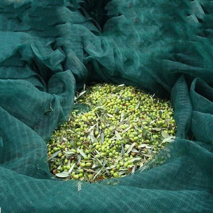 Plant Netting for Garden Fruit Collector Harvesting Net with CE