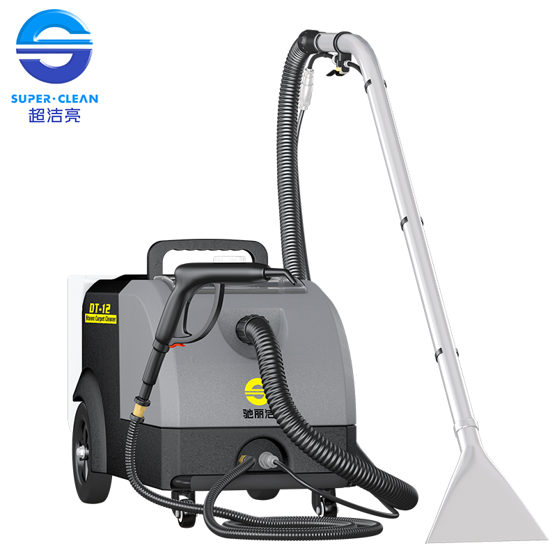 Commercial Steam Cleaning Machine for Sofa/Curtain/Car