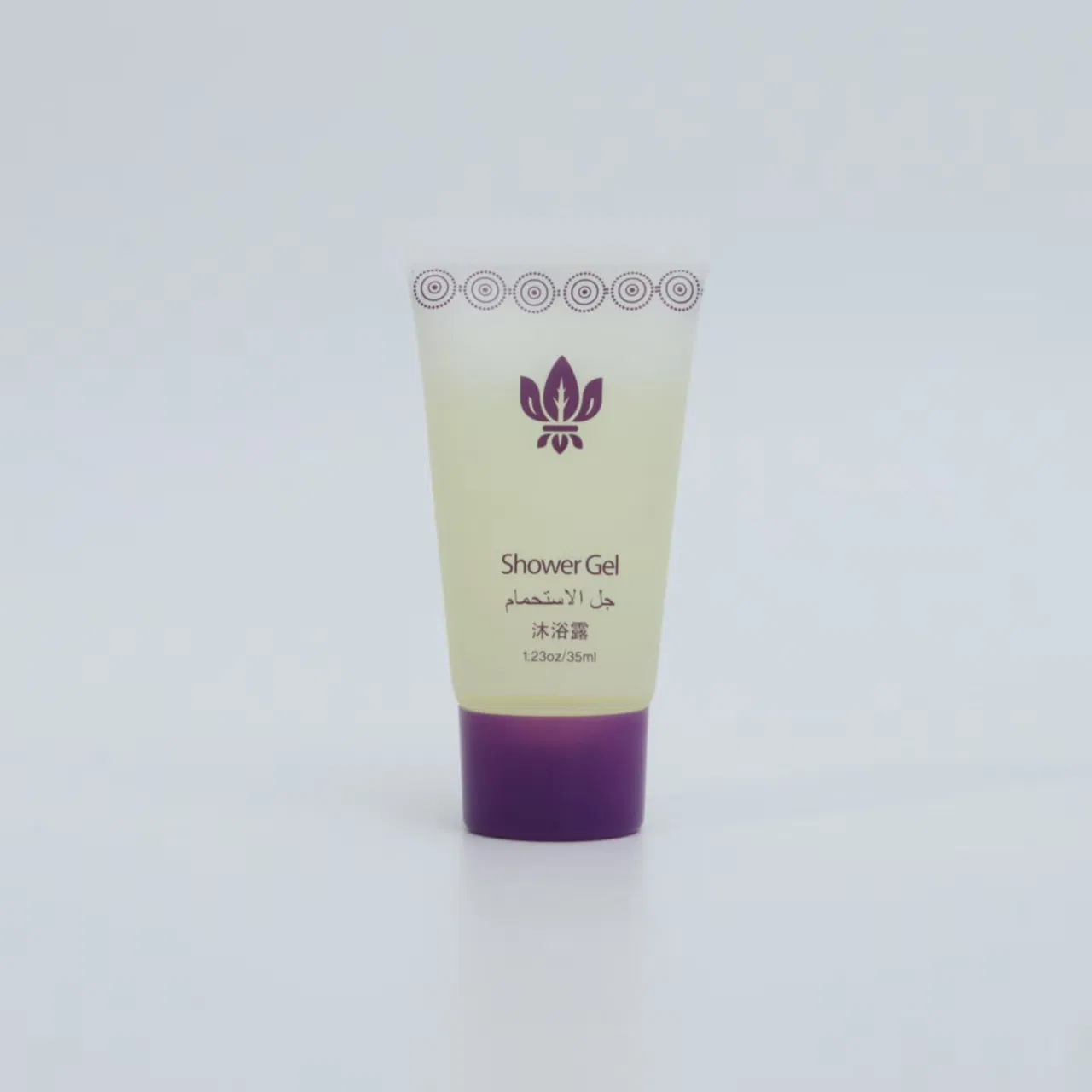 Exclusive Carton Shampoo and Body Wash Hotel Amenities Collection