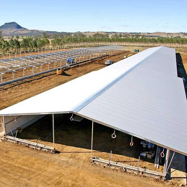 Low Cost Pheasantry Steel Structure Farm